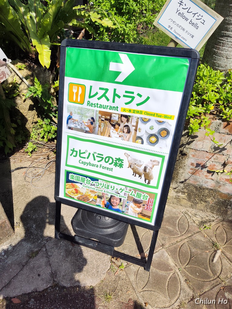 県道26号線